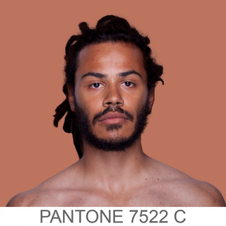 Illustration for article titled Human skin tones classified as Pantone colors